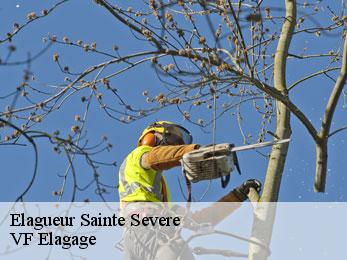 Elagueur  sainte-severe-16200 VF Elagage