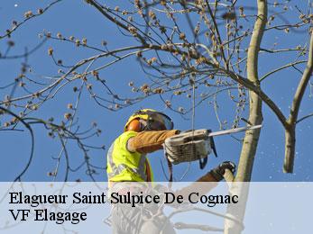 Elagueur saint-sulpice-de-cognac-16370 VF Elagage