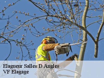 Elagueur  salles-d-angles-16130 VF Elagage