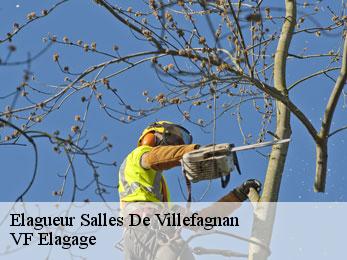 Elagueur  salles-de-villefagnan-16700 VF Elagage