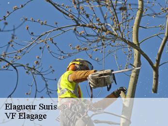 Elagueur  suris-16270 VF Elagage