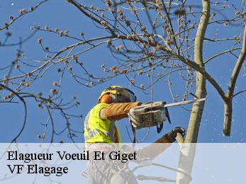 Elagueur  voeuil-et-giget-16400 VF Elagage