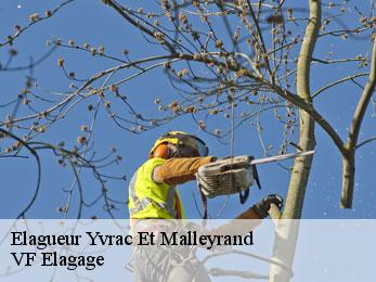 Elagueur  yvrac-et-malleyrand-16110 VF Elagage