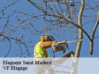 Elagueur  saint-medard-16170 VF Elagage