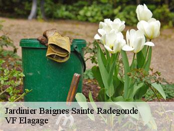 Jardinier  baignes-sainte-radegonde-16360 VF Elagage