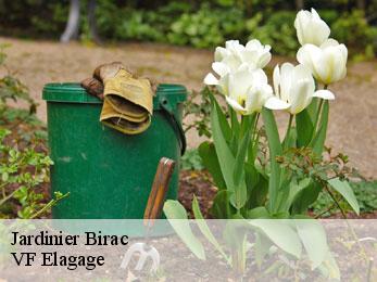 Jardinier  birac-16120 VF Elagage