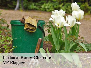 Jardinier  bourg-charente-16200 VF Elagage