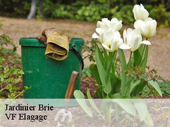 Jardinier  brie-16590 VF Elagage