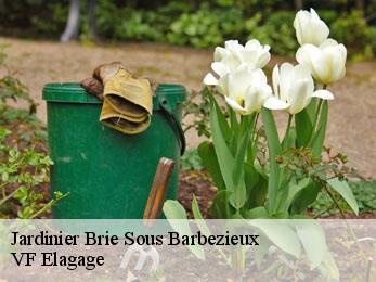Jardinier brie-sous-barbezieux-16300 VF Elagage