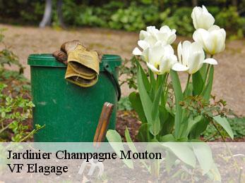 Jardinier  champagne-mouton-16350 VF Elagage