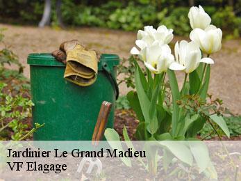 Jardinier  le-grand-madieu-16450 VF Elagage