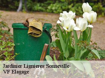 Jardinier  lignieres-sonneville-16130 VF Elagage