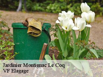 Jardinier montignac-le-coq-16390 VF Elagage