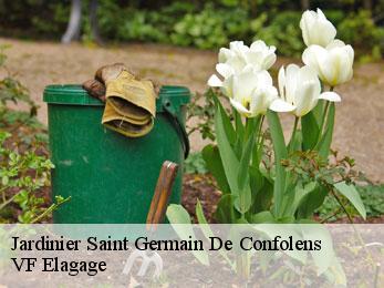 Jardinier  saint-germain-de-confolens-16500 VF Elagage