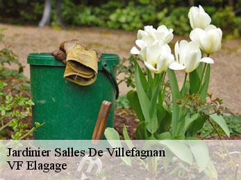 Jardinier salles-de-villefagnan-16700 VF Elagage