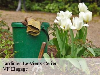 Jardinier le-vieux-cerier-16350 VF Elagage