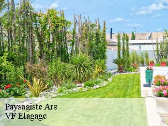 Paysagiste  ars-16130 VF Elagage