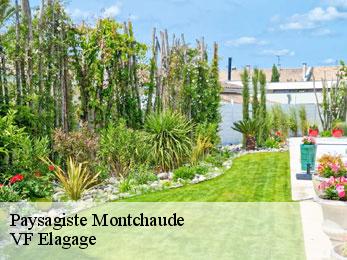 Paysagiste  montchaude-16300 VF Elagage