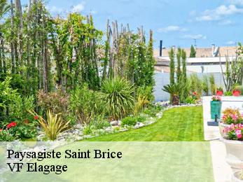 Paysagiste  saint-brice-16100 VF Elagage