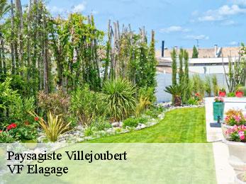Paysagiste  villejoubert-16560 VF Elagage