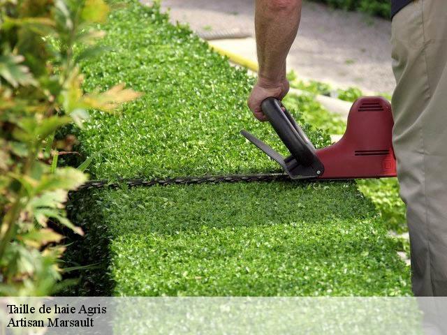 Taille de haie agris-16110 Artisan Marsault