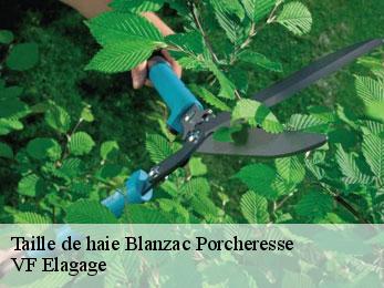 Taille de haie  blanzac-porcheresse-16250 VF Elagage