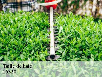 Taille de haie  16320