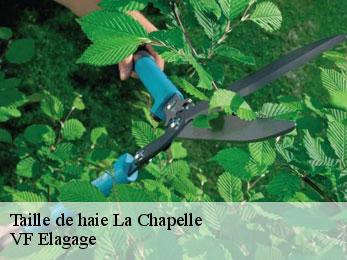 Taille de haie  la-chapelle-16140 VF Elagage