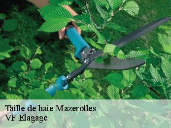 Taille de haie  mazerolles-16310 VF Elagage