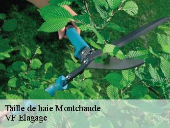 Taille de haie  montchaude-16300 VF Elagage