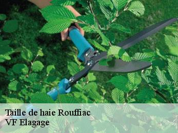 Taille de haie  rouffiac-16210 VF Elagage