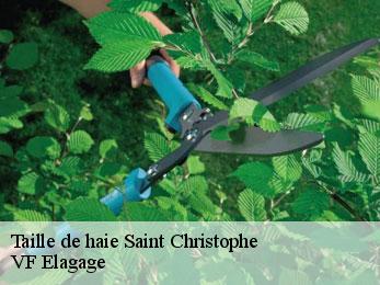 Taille de haie  saint-christophe-16420 VF Elagage