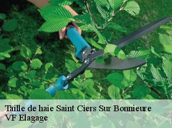 Taille de haie  saint-ciers-sur-bonnieure-16230 VF Elagage