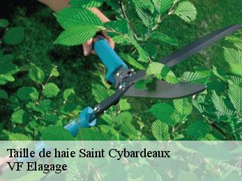 Taille de haie  saint-cybardeaux-16170 VF Elagage