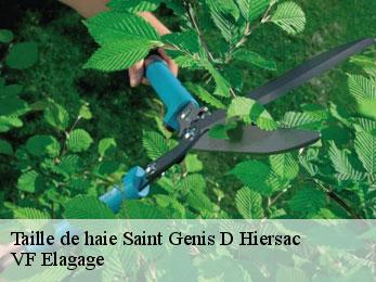 Taille de haie  saint-genis-d-hiersac-16570 VF Elagage