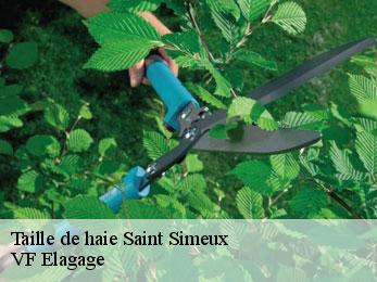 Taille de haie  saint-simeux-16120 VF Elagage