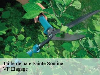 Taille de haie  sainte-souline-16480 VF Elagage
