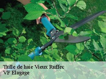 Taille de haie vieux-ruffec-16350 VF Elagage