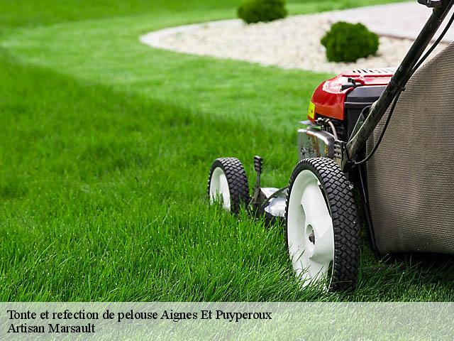 Tonte et refection de pelouse  aignes-et-puyperoux-16190 Artisan Marsault