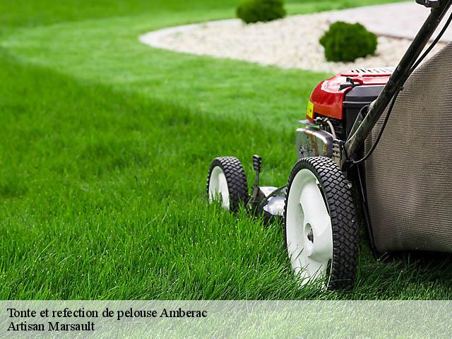 Tonte et refection de pelouse  amberac-16140 Artisan Marsault