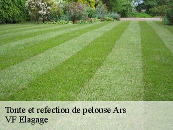 Tonte et refection de pelouse  ars-16130 VF Elagage