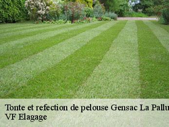 Tonte et refection de pelouse  gensac-la-pallue-16130 VF Elagage