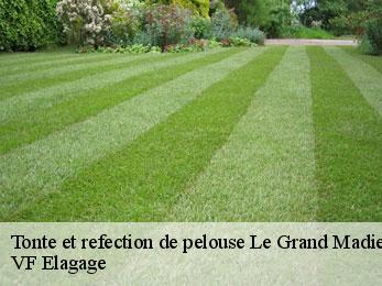 Tonte et refection de pelouse  le-grand-madieu-16450 VF Elagage