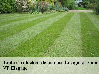 Tonte et refection de pelouse  lezignac-durand-16310 VF Elagage