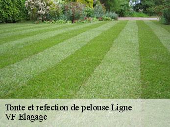 Tonte et refection de pelouse  ligne-16140 VF Elagage