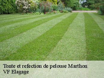 Tonte et refection de pelouse  marthon-16380 VF Elagage