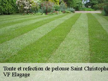 Tonte et refection de pelouse  saint-christophe-16420 VF Elagage