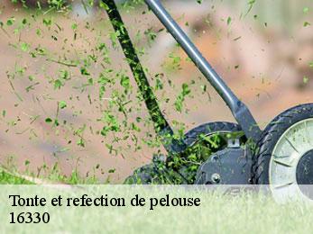 Tonte et refection de pelouse  16330