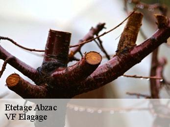 Etetage  abzac-16500 VF Elagage