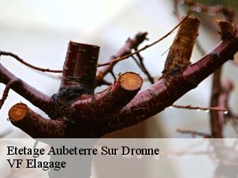 Etetage aubeterre-sur-dronne-16390 VF Elagage
